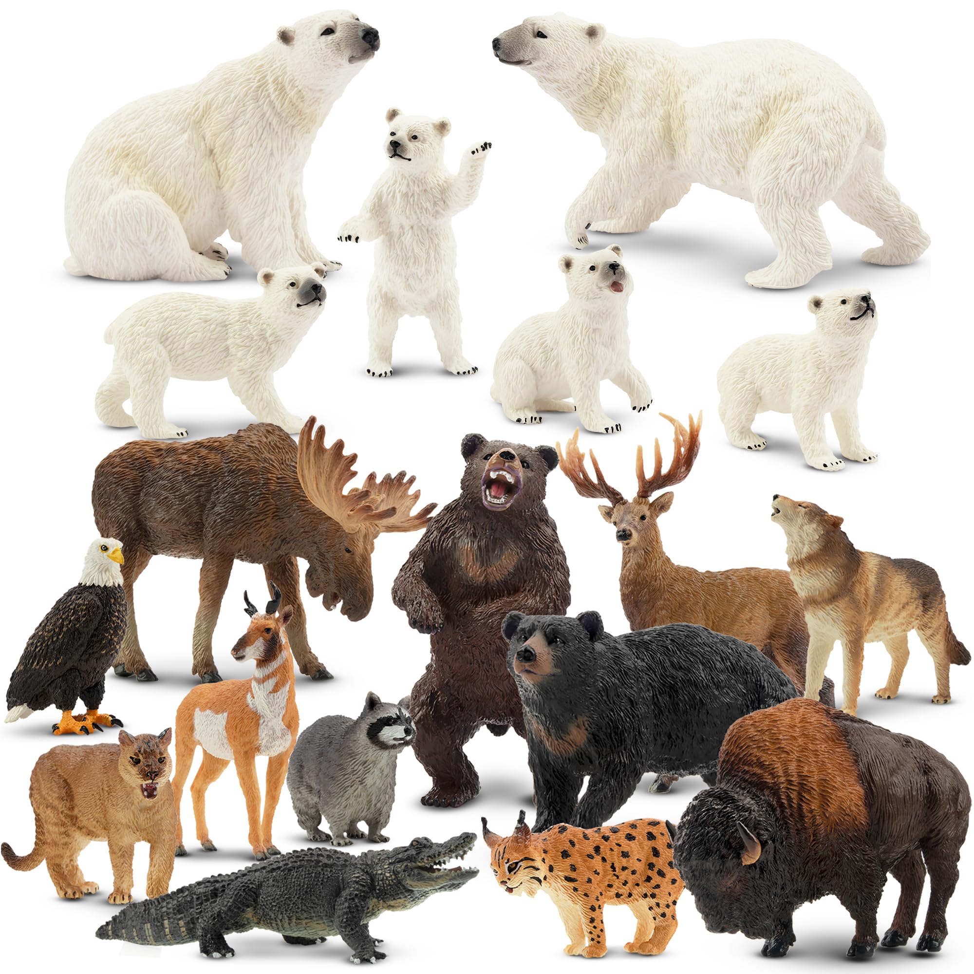 Amazon.com: Toymany 18PCS Polar Bear and North American Forest
